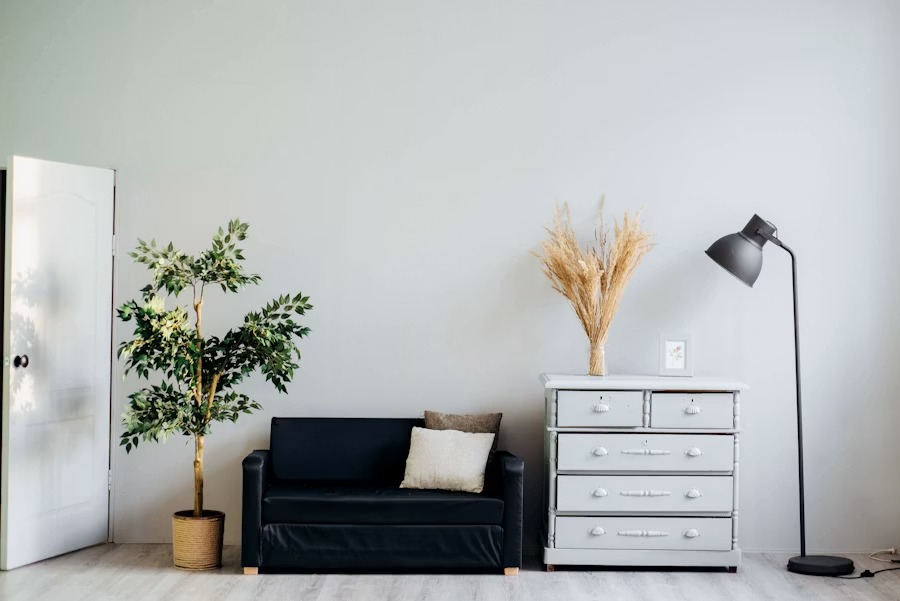 Clean living room with natural light and plants